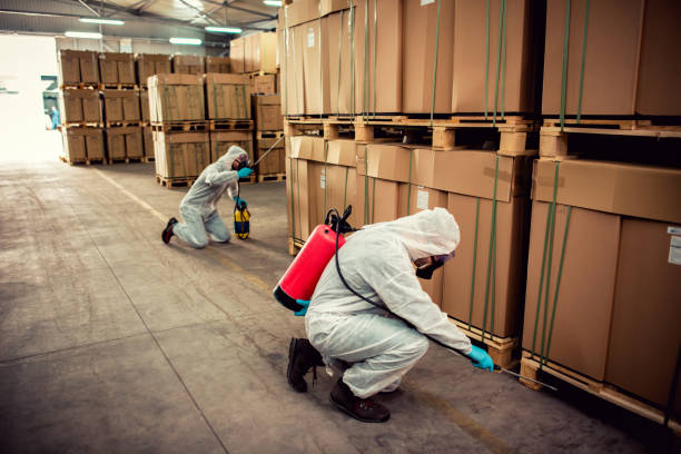 Best Mosquito Control Services  in Waipio, HI