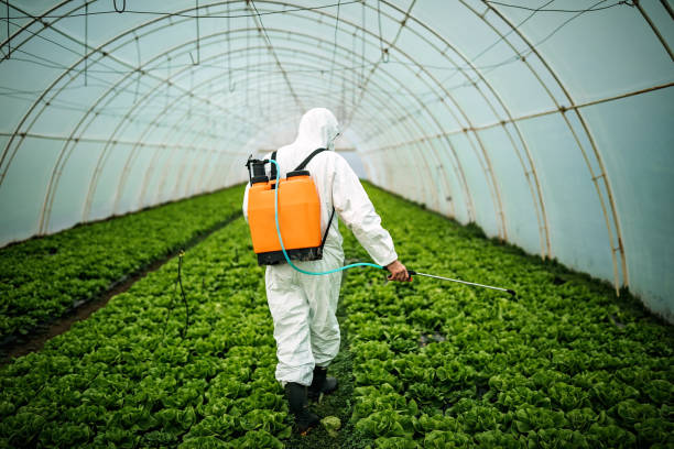 Best Exterminator Services  in Waipio, HI