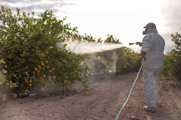 Best Best Pest Control Companies  in Waipio, HI