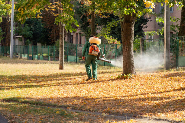 Best Wildlife Control Services  in Waipio, HI