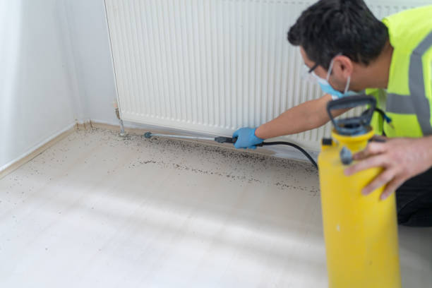 Best Pest Removal Services  in Waipio, HI