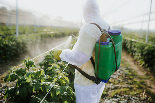 Best Local Pest Control Services  in Waipio, HI